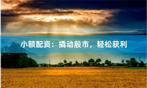 小额配资：撬动股市，轻松获利
